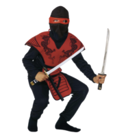 Búningur ninja