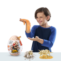 Zuru Dino fossil find egg