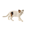 Schleich dýr