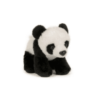 Panda bangsi