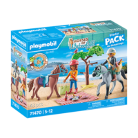 Playmobil Horses of Waterfall