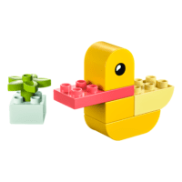 Lego Duplo