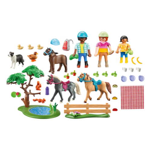 Playmobil Country