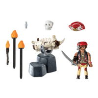 Playmobil Pirates