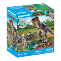 Playmobil Dinos