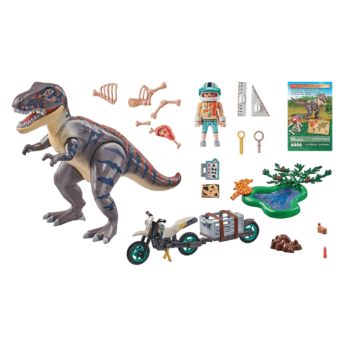 Playmobil Dinos