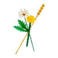 Lego botanicals