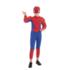 Spderman búningur