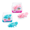 Zuru axolotls