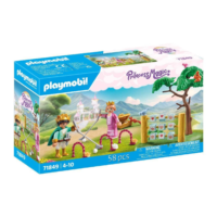 Playmobil Princess Magic