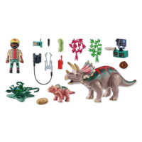 Playmobil Dinos