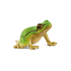Schleich dýr