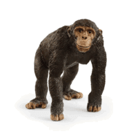 Schleich dýr